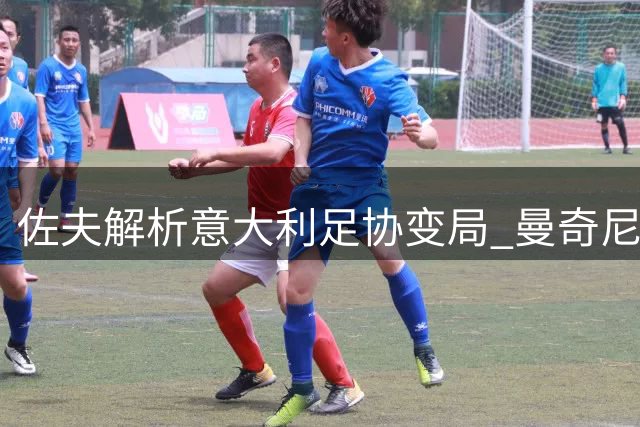 佐夫解析意大利足协变局 曼奇尼回归引发热议